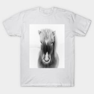 Icelandic Horse Portrait, black and white T-Shirt